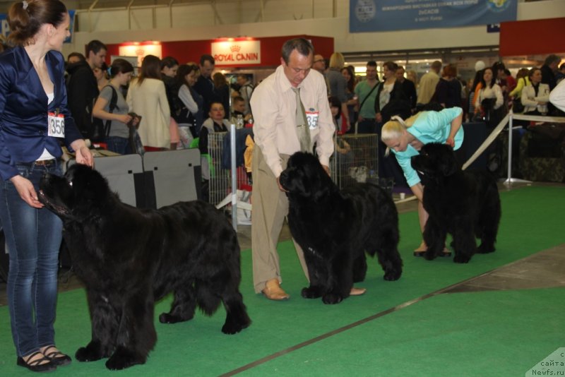 Фотография № 152091