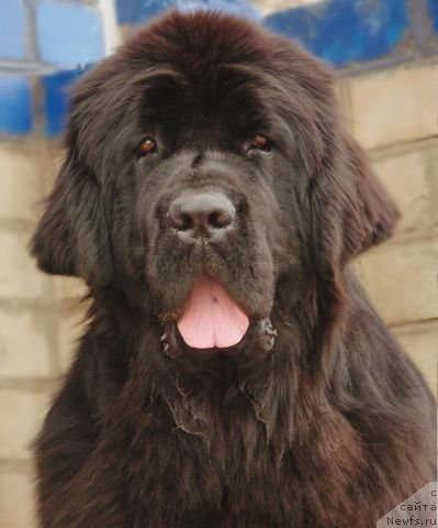 Фотография № 152098