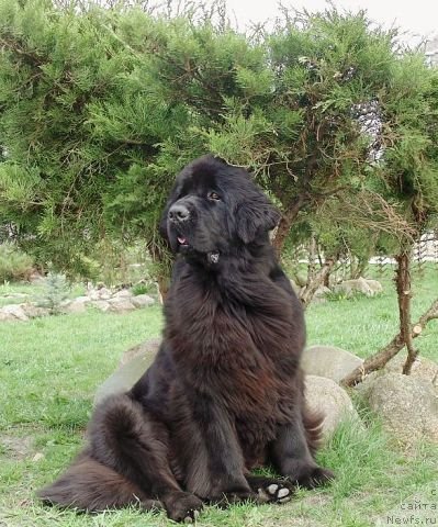 Фотография № 152100