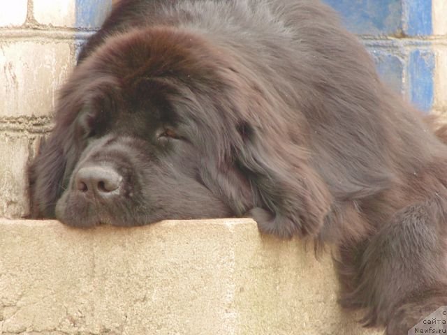 Фотография № 152101