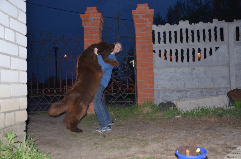 Фотография № 152126