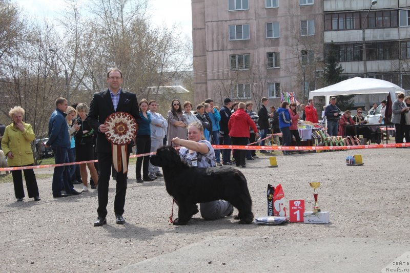 Фотография № 152150