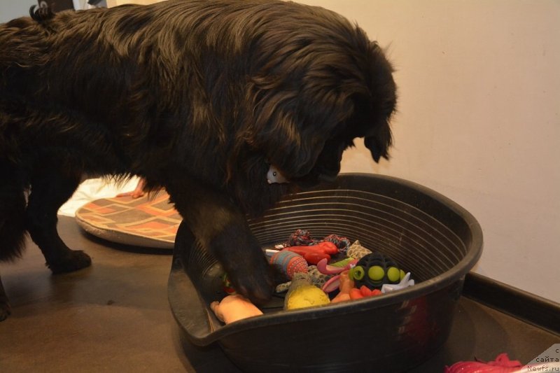 Фотография № 152163