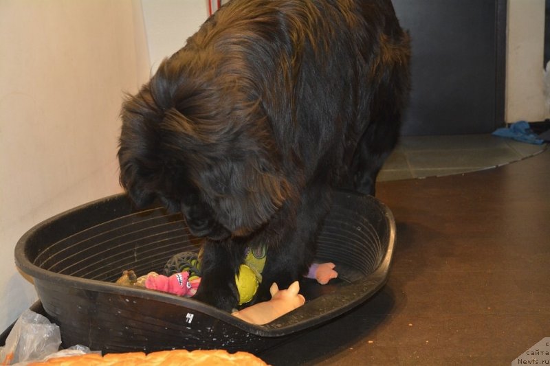 Фотография № 152166