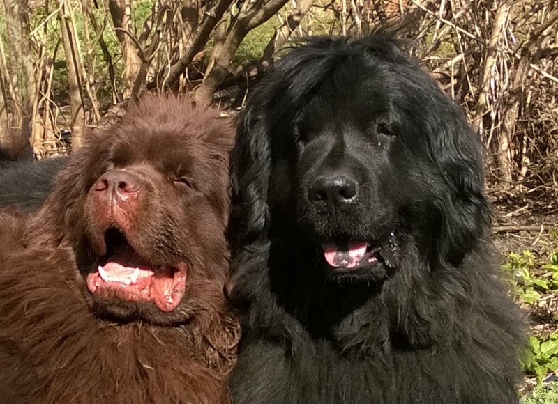 Фотография № 152194