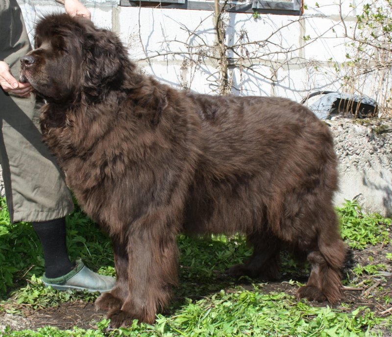 Фотография № 152205