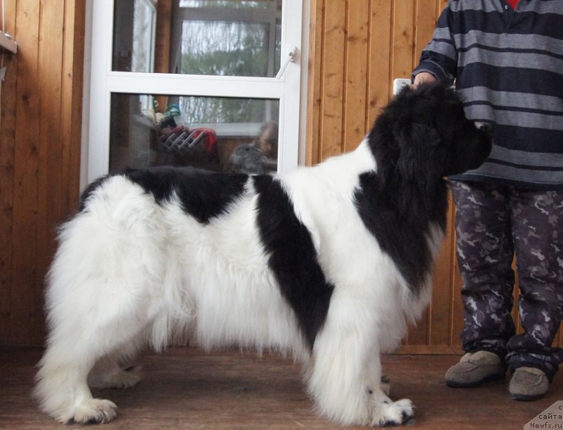 Фотография № 152206