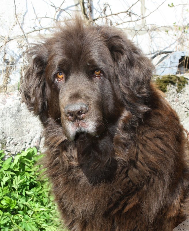 Фотография № 152212