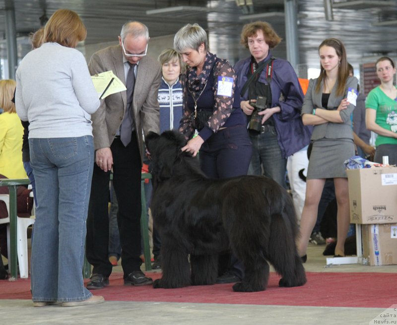 Фотография № 152217