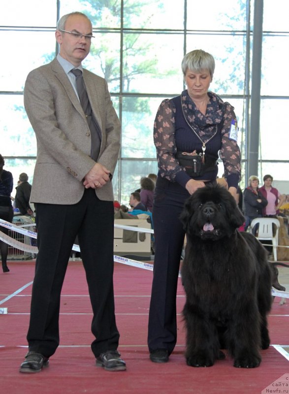 Фотография № 152220