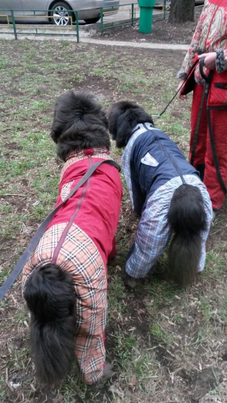 Фотография № 152250