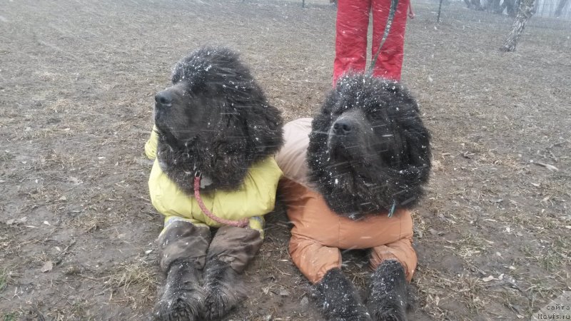 Фотография № 152251