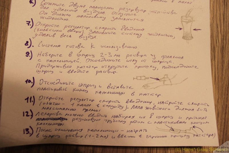 Фотография № 152292