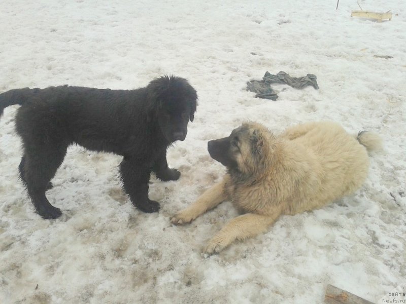 Фотография № 152294