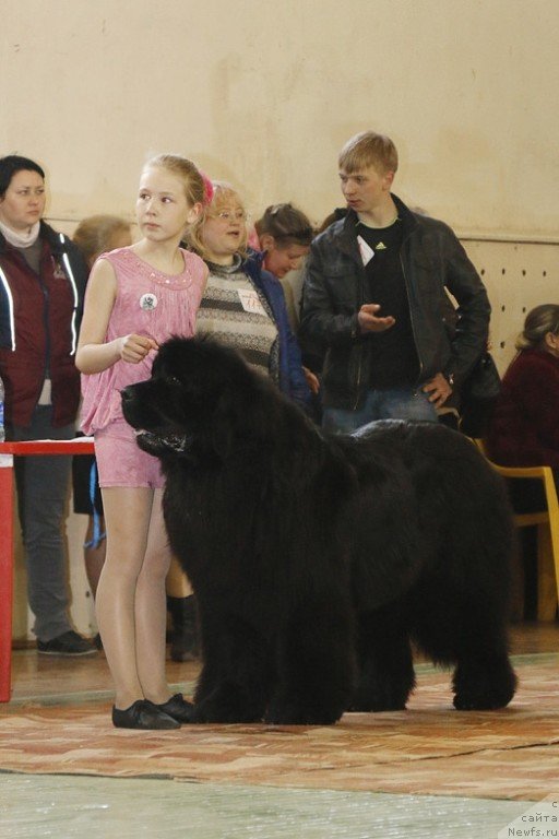 Фотография № 152297