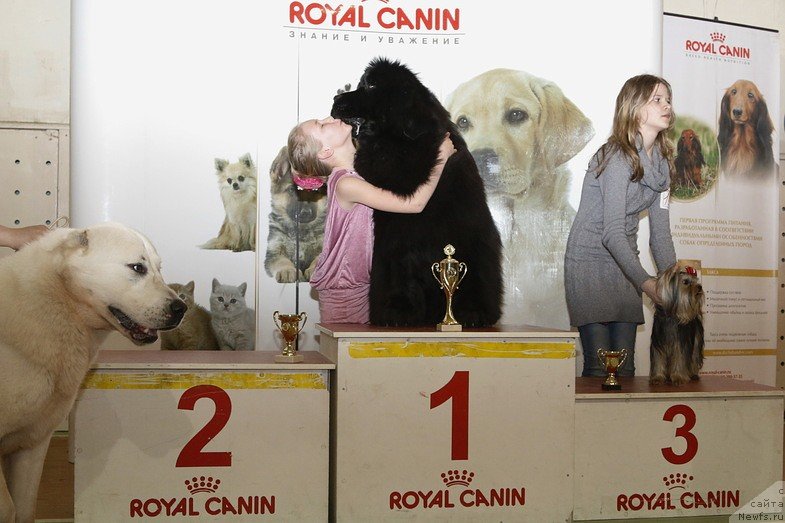 Фотография № 152298