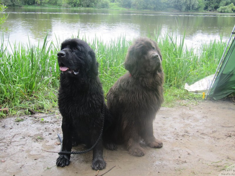 Фотография № 152307