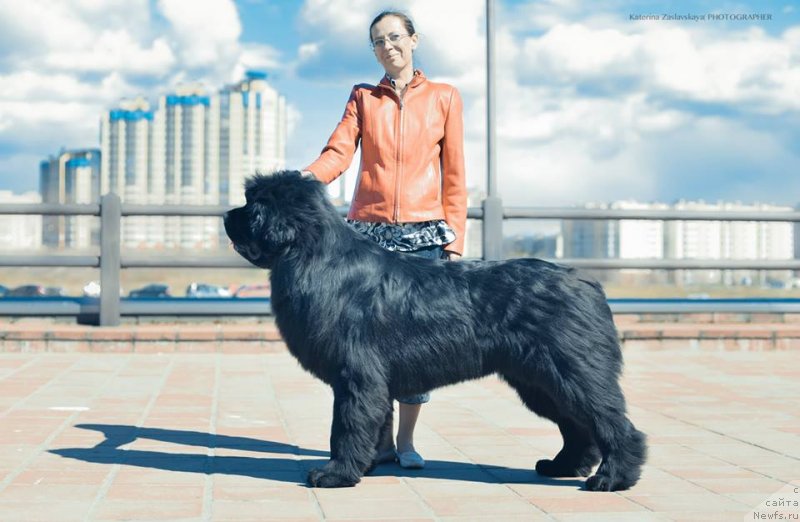 Фотография № 152308