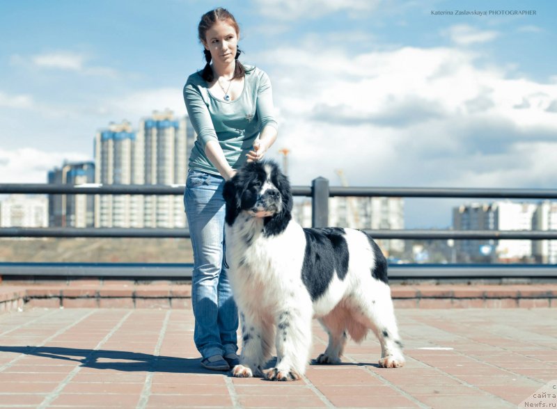 Фотография № 152310