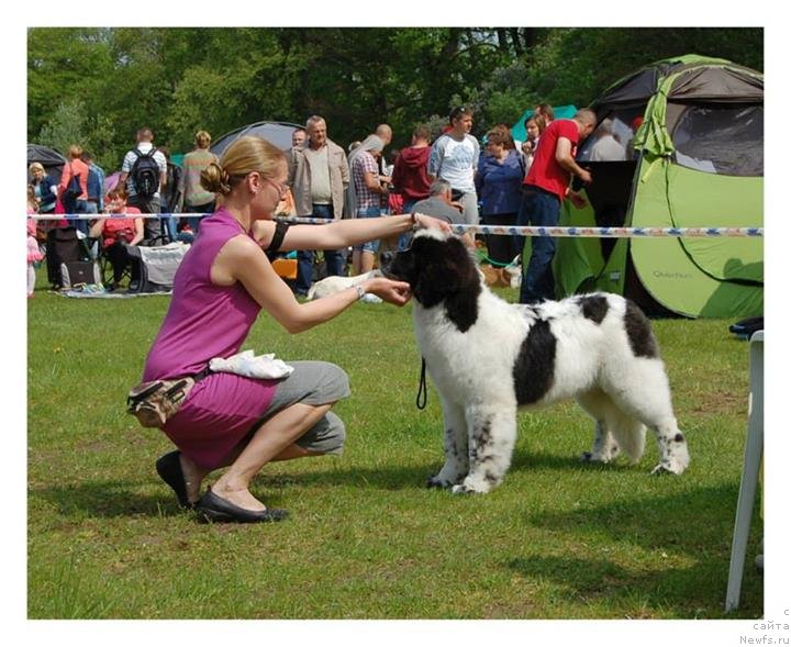 Фотография № 152317