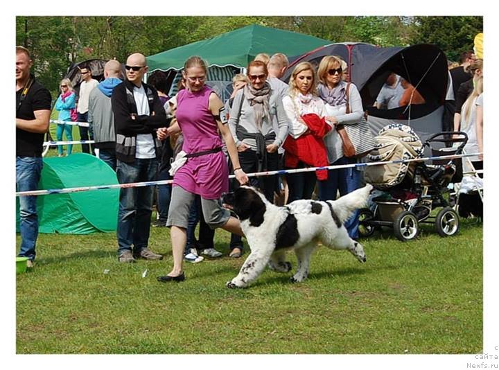 Фотография № 152318