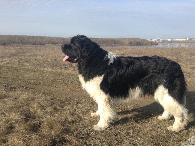 Фотография № 152334