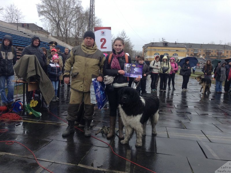 Фотография № 152339