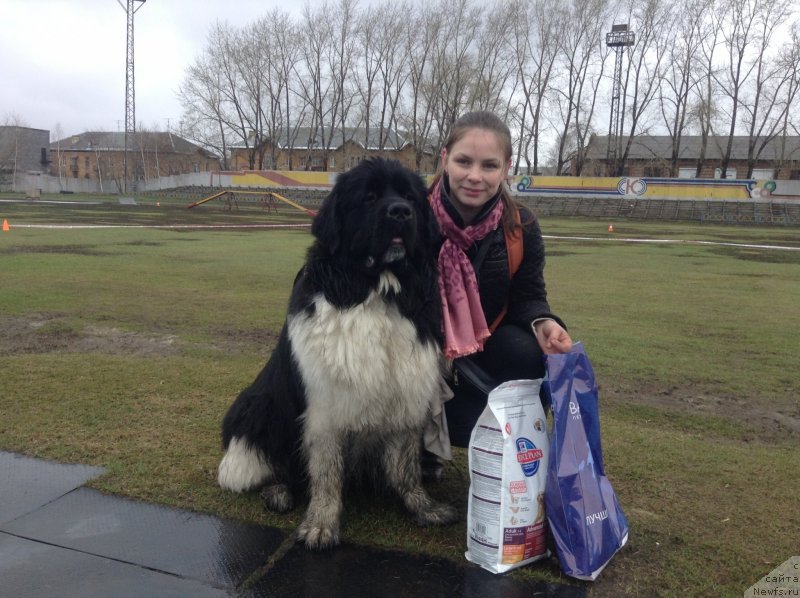 Фотография № 152340