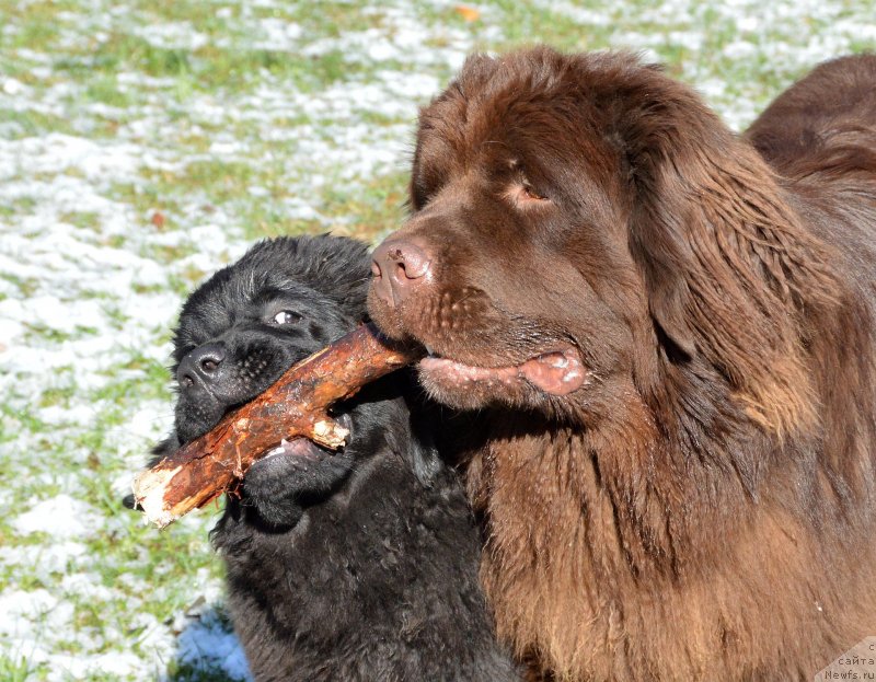 Фотография № 152386