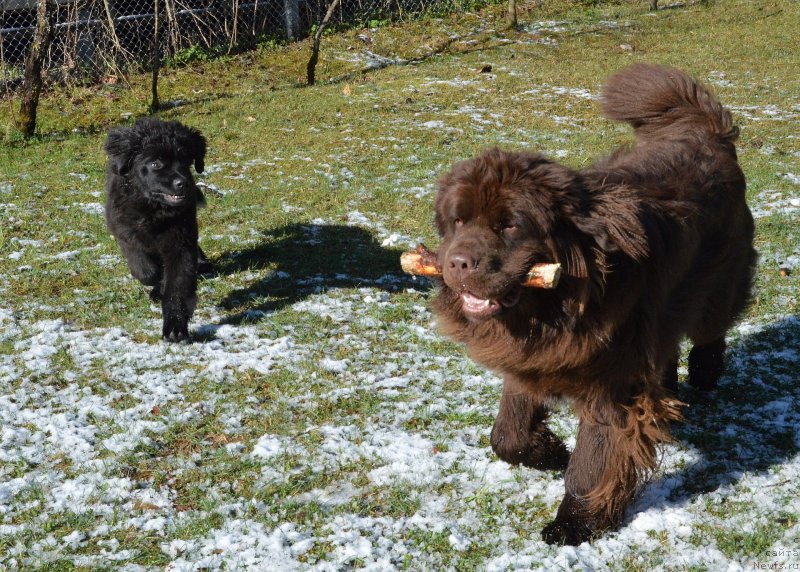 Фотография № 152387