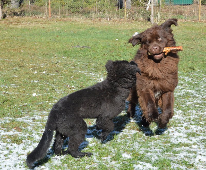 Фотография № 152388