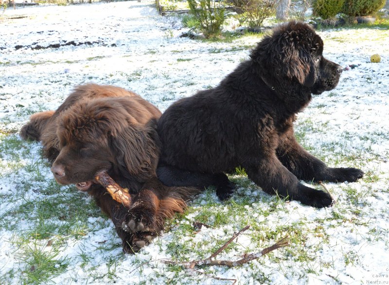 Фотография № 152389