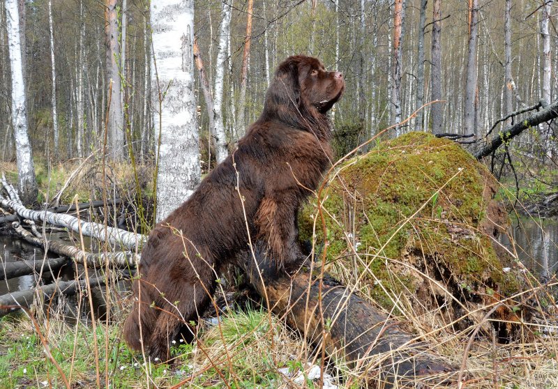 Фотография № 152391