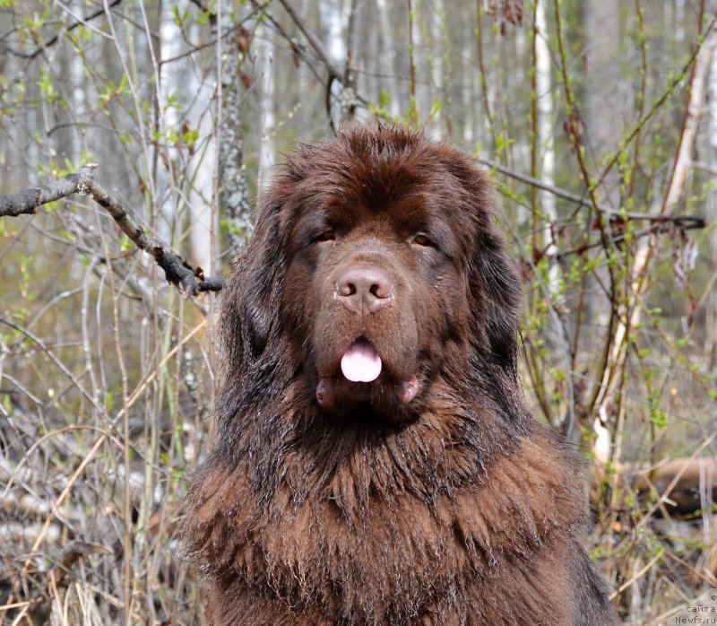 Фотография № 152392