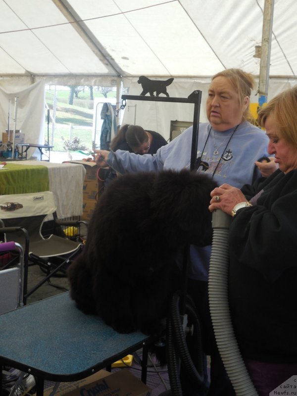 Фотография № 152430