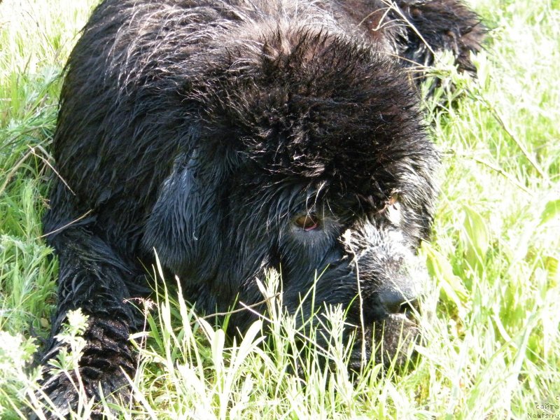 Фотография № 152436