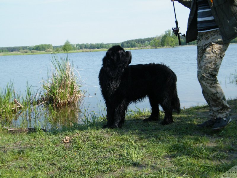 Фотография № 152437