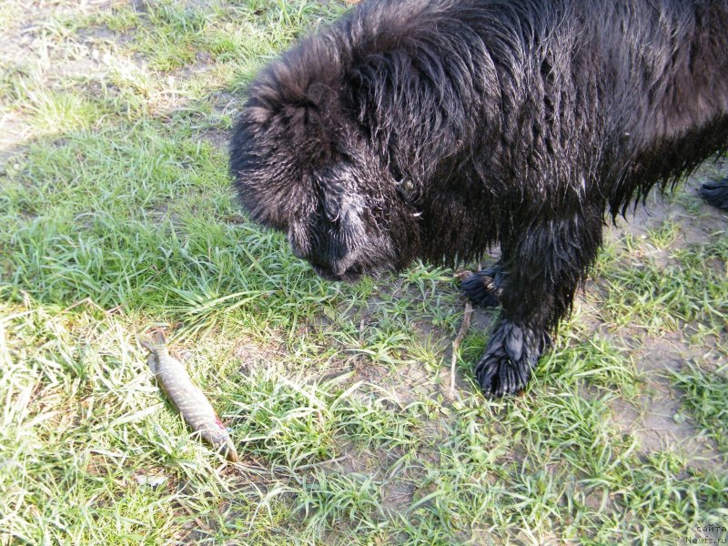 Фотография № 152438