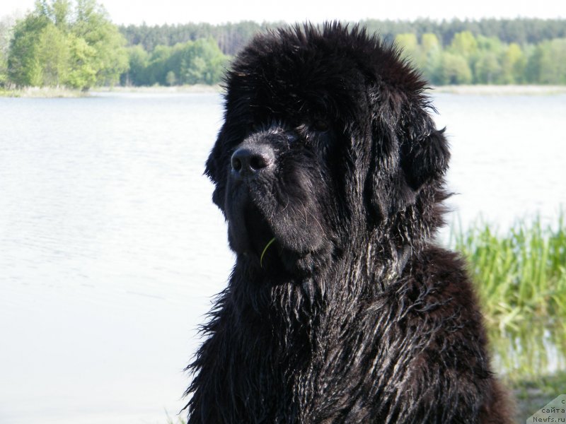 Фотография № 152442