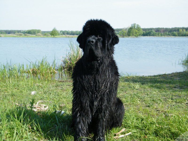 Фотография № 152445