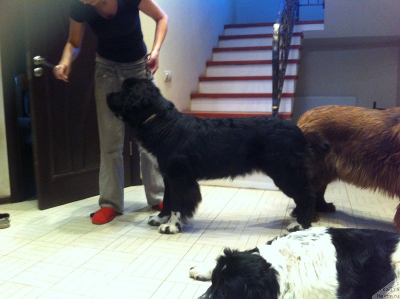 Фотография № 152458