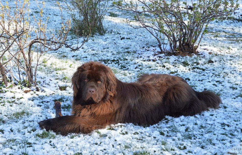 Фотография № 152481