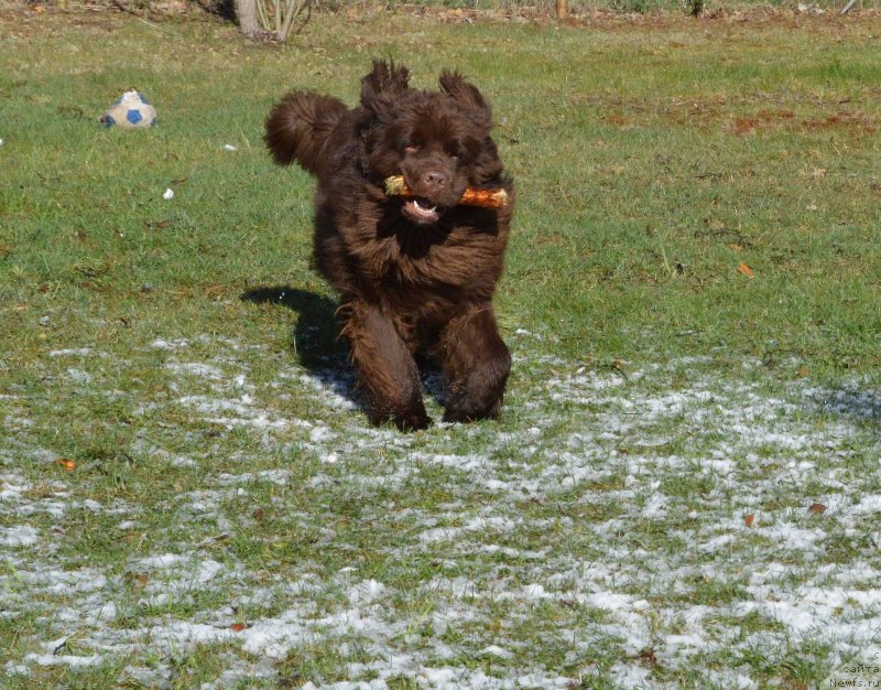 Фотография № 152483