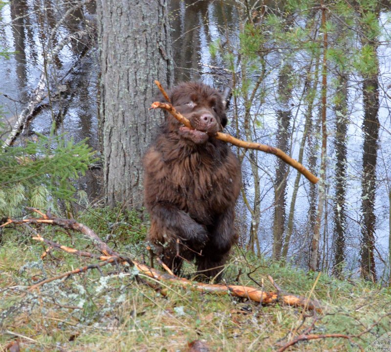 Фотография № 152486