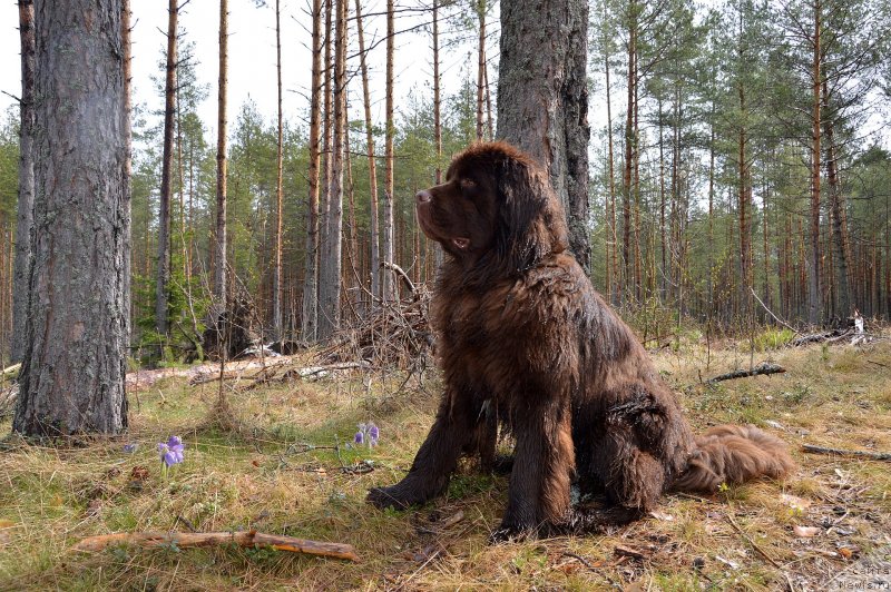 Фотография № 152487