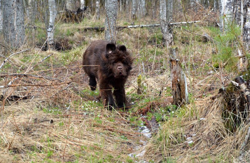 Фотография № 152489