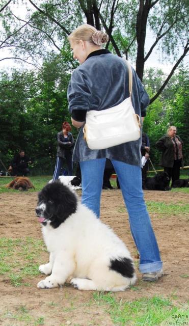 Фотография № 15249