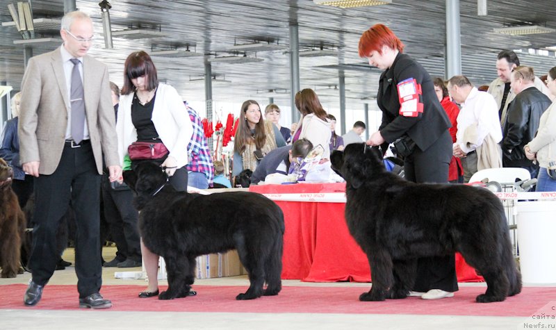 Фотография № 152538