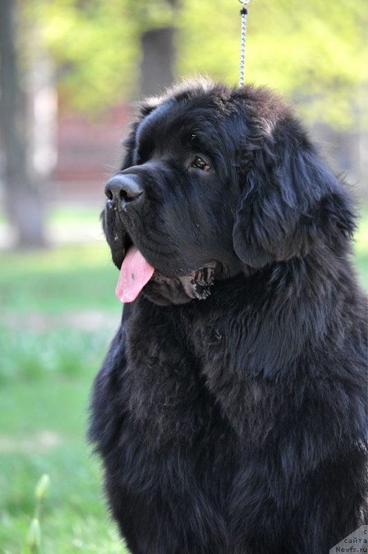 Фотография № 152546