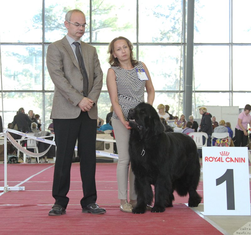 Фотография № 152552